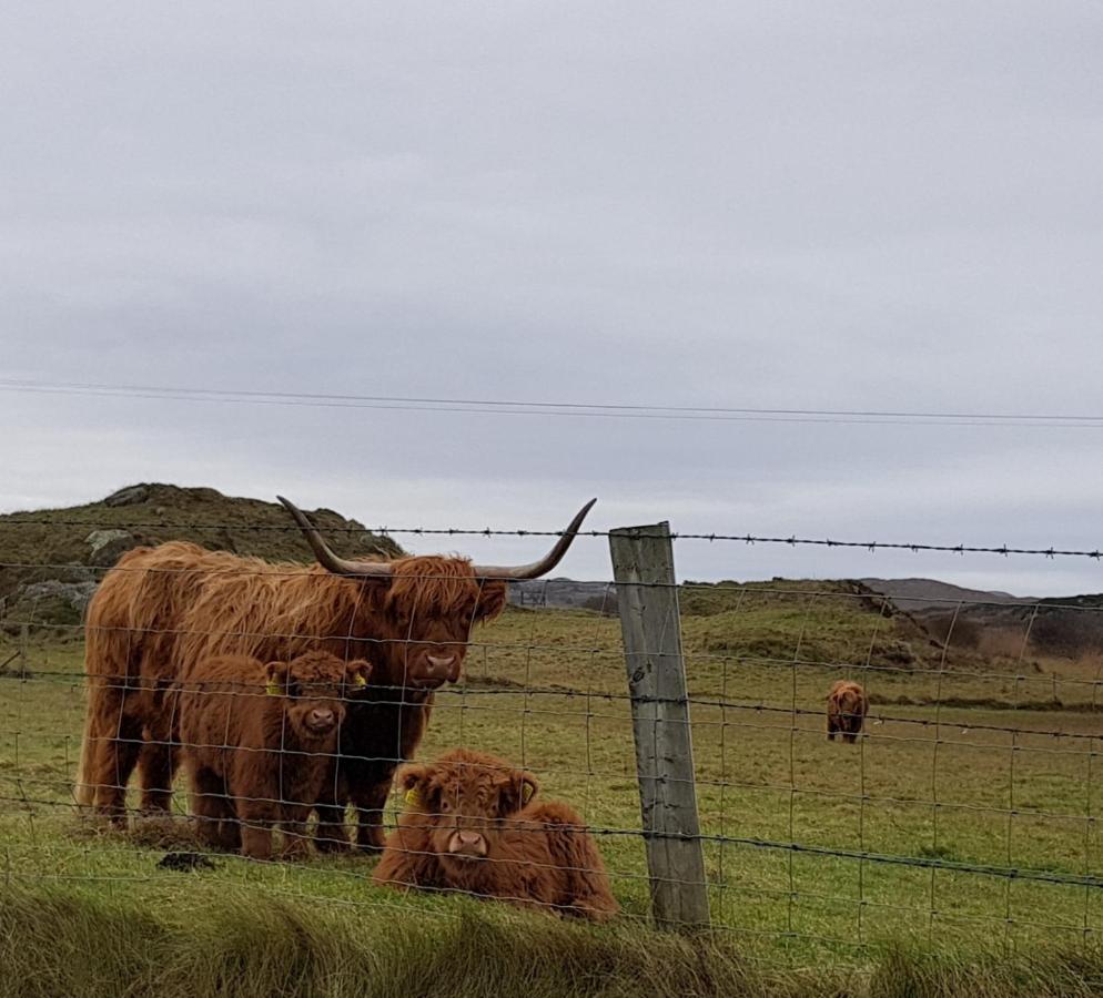 Bed and Breakfast Tidal View Kincasslagh Esterno foto