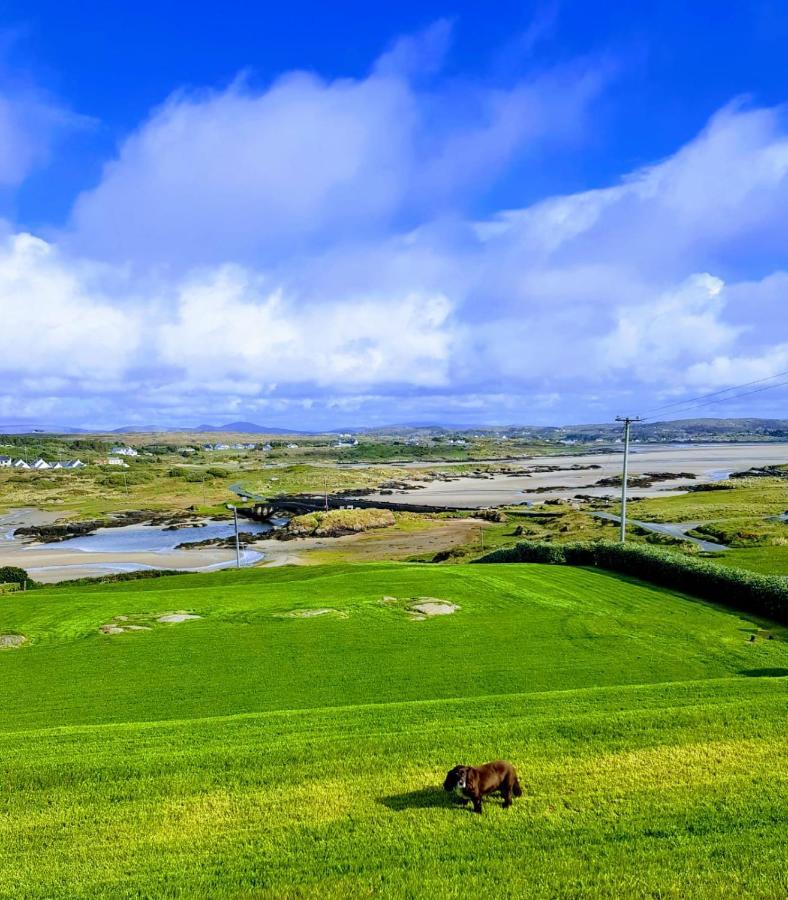 Bed and Breakfast Tidal View Kincasslagh Esterno foto